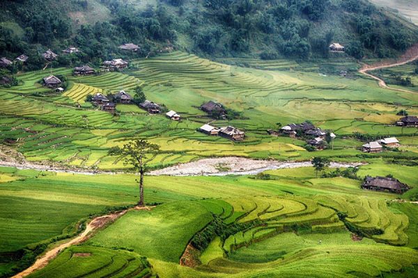 Mu Cang Chai - Vietnam Adventure tour