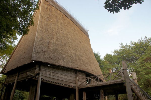 Vietnam Museum of Ethnology, Hanoi Tour day trips