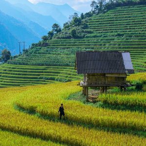 Lao Chai Village, Vietnam adventure tour