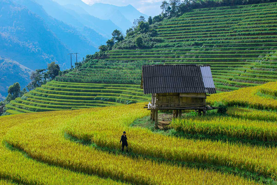 Lao Chai Village, Vietnam adventure tour