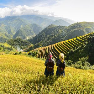 terraces in Sapa, Vietnam Adventure tour