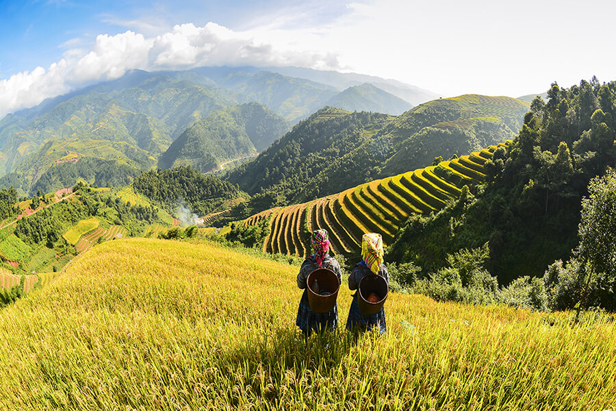 terraces in Sapa, Adventure tour package in Vietnam