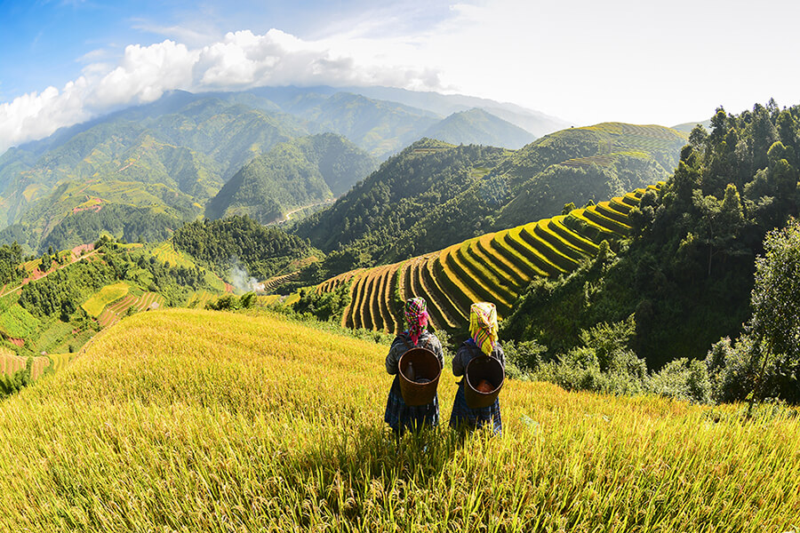 terraces in Sapa, Vietnam Adventure tour