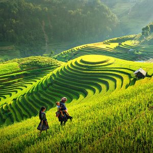 terraces in ha giang, vietnam adventure tour