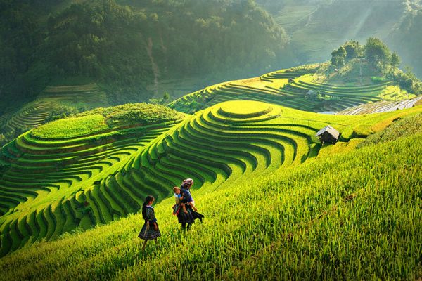 terraces in ha giang, vietnam adventure tour