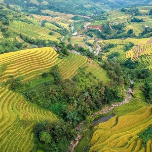 Flower gardens in an ethnic village of Ha Giang