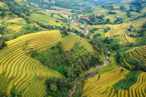 Flower gardens in an ethnic village of Ha Giang