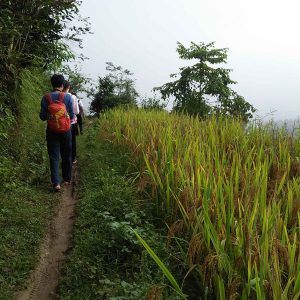 Trekking in Ha Giang - Vietnam adventure tour