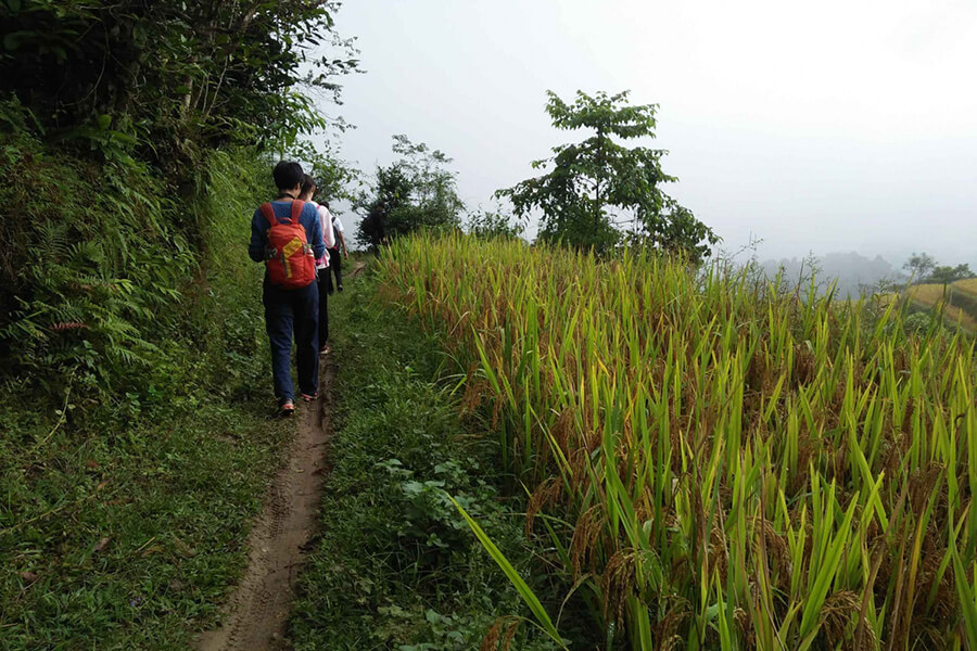 Trekking in Ha Giang - Vietnam adventure tour