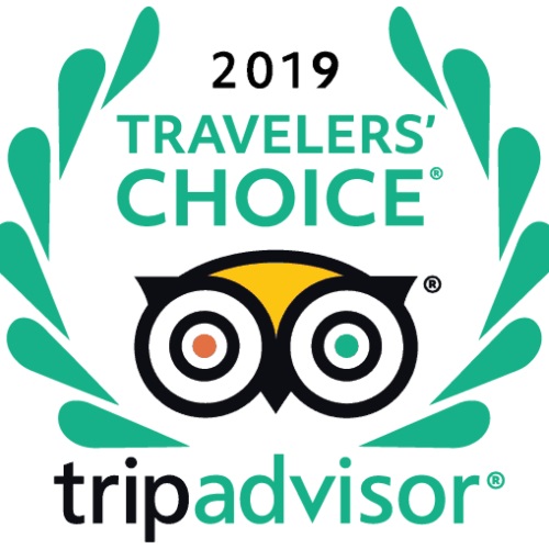 2019 go vietnam tours tripadvisor