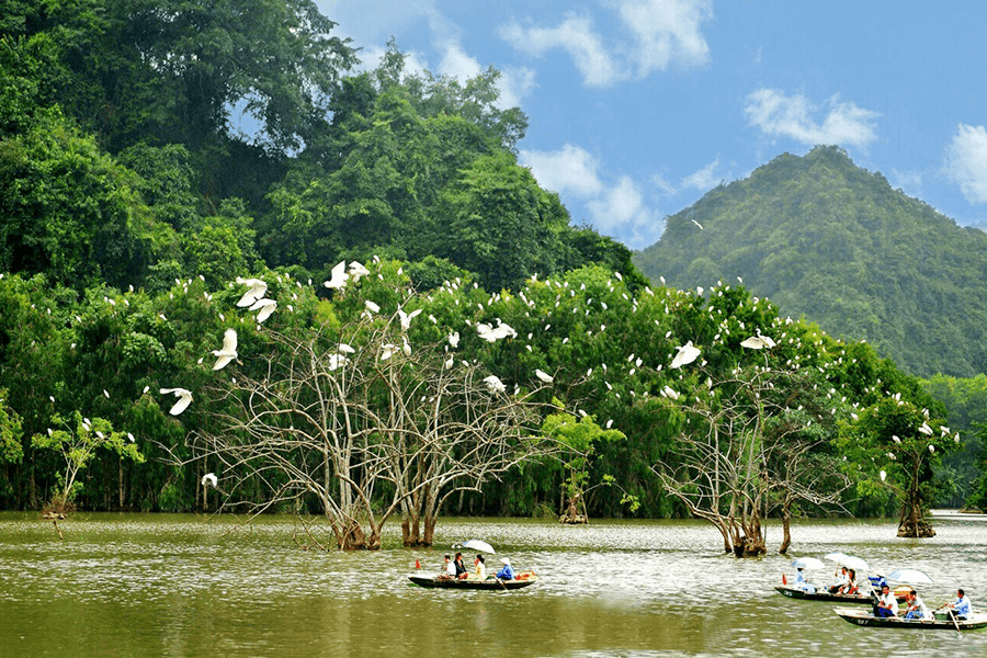 Sailing at Trang An, Ninh Binh, Vietnam tours