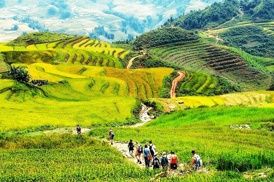 Trekking-in-Sapa-Vietnam-tours-trips