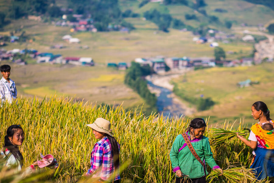 Sapa spring day, Vietnam Adventure Tours