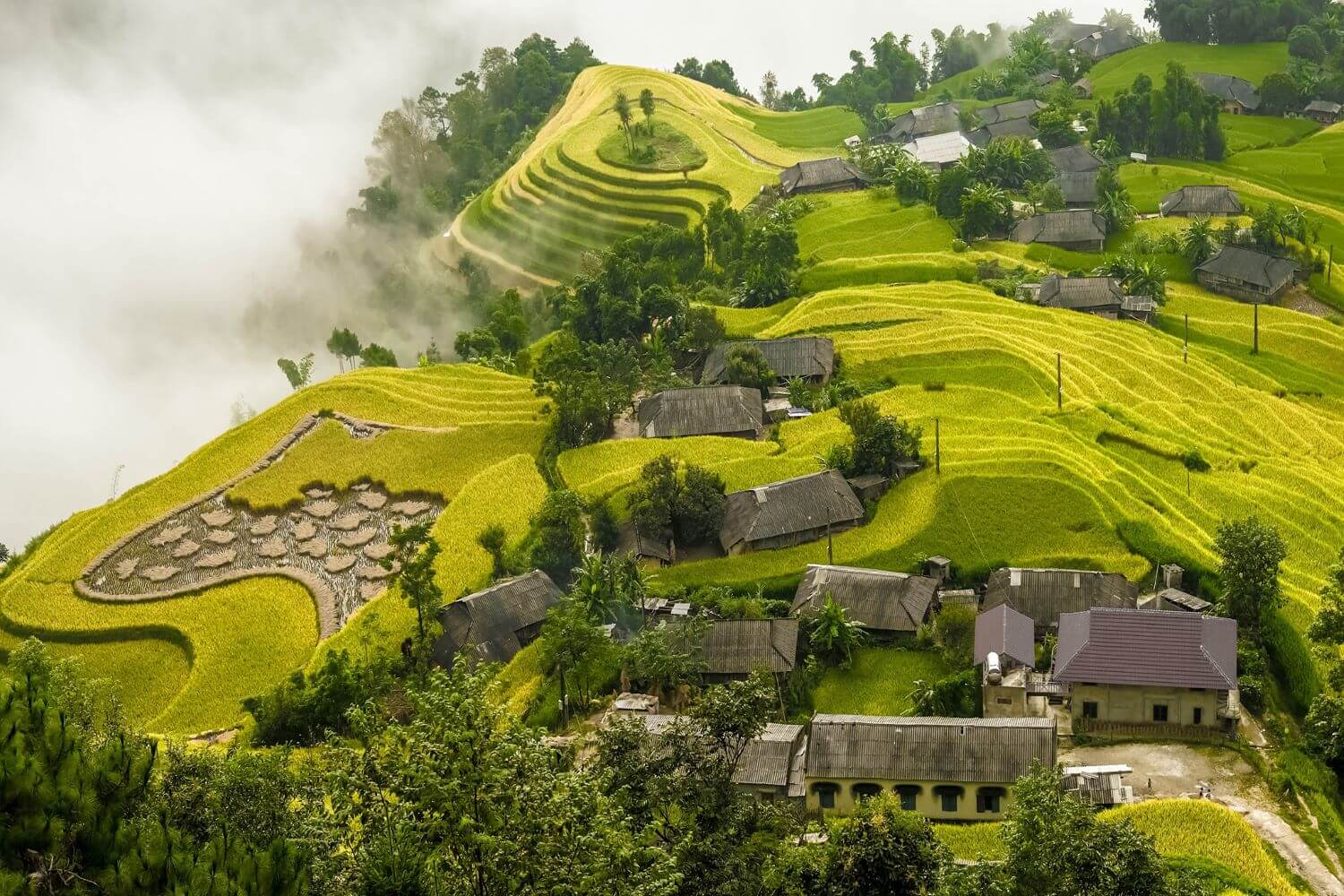 Hoang Su Phi-Ha Giang