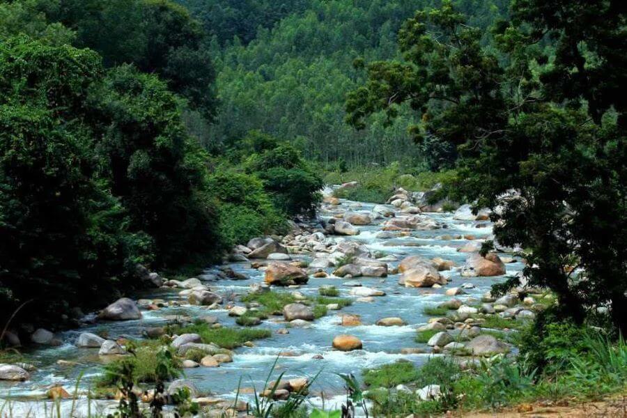 Hon Ba Nature Reserve - Nha Trang