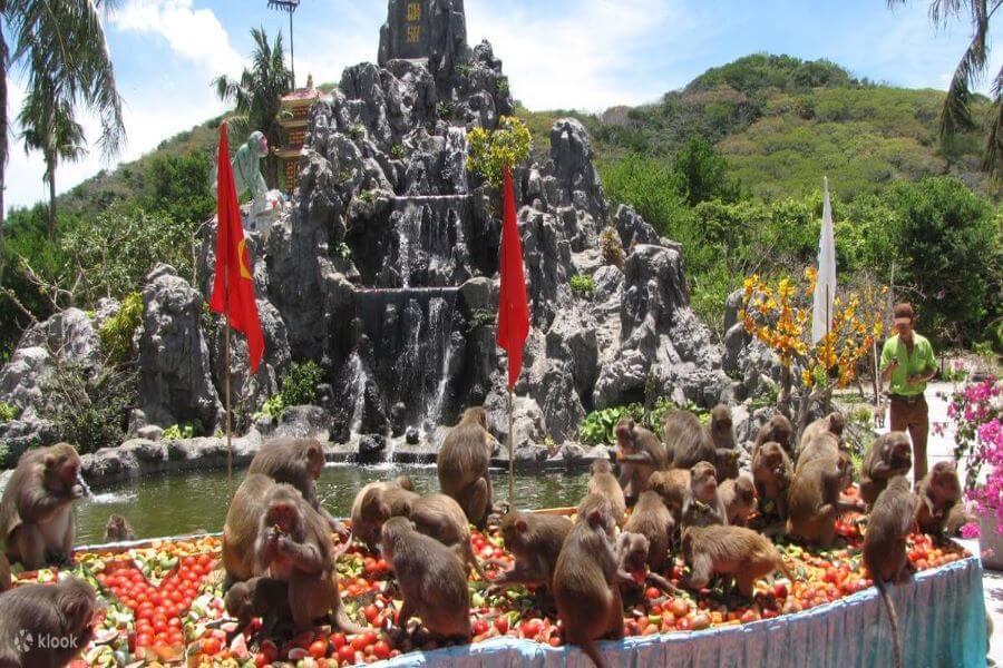 Monkey Island - Nha Trang