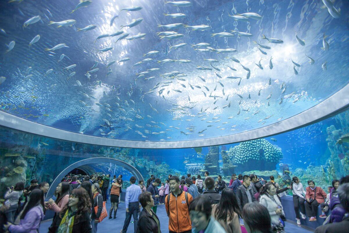 National Oceanographic Museum - Nha Trang