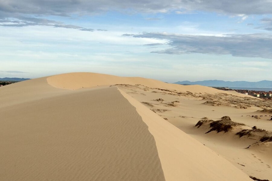 Quang Phu Sand Dunes - Quang Binh