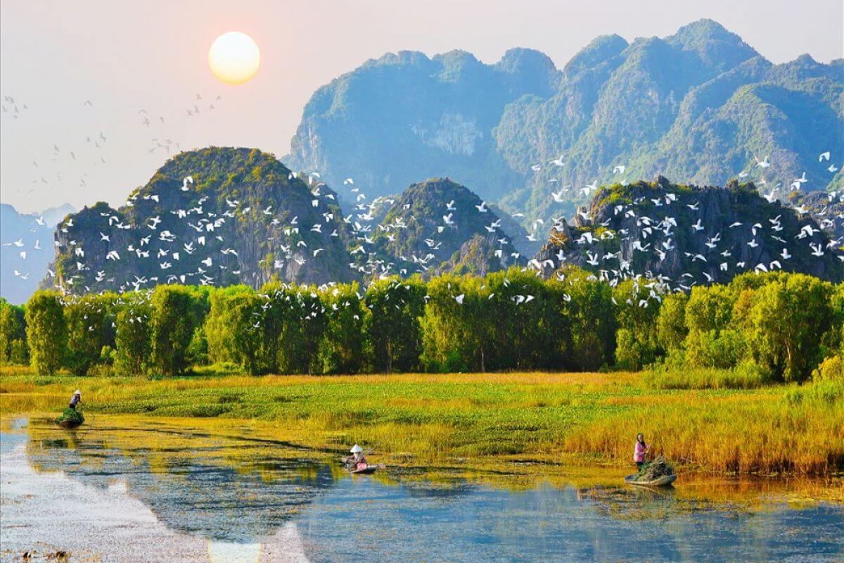 Thung Nham Bird Park, Ninh Binh