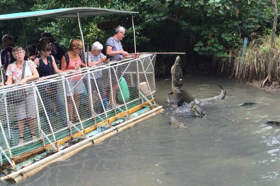 Can Gio Crocodiles - Vietnam Adventure Tours
