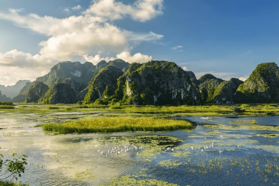 Van Long Nature Reserve - Vietnam Family Tours