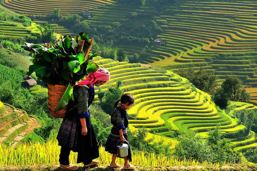 Ethnic Minority in Sapa - Vietnam tour package