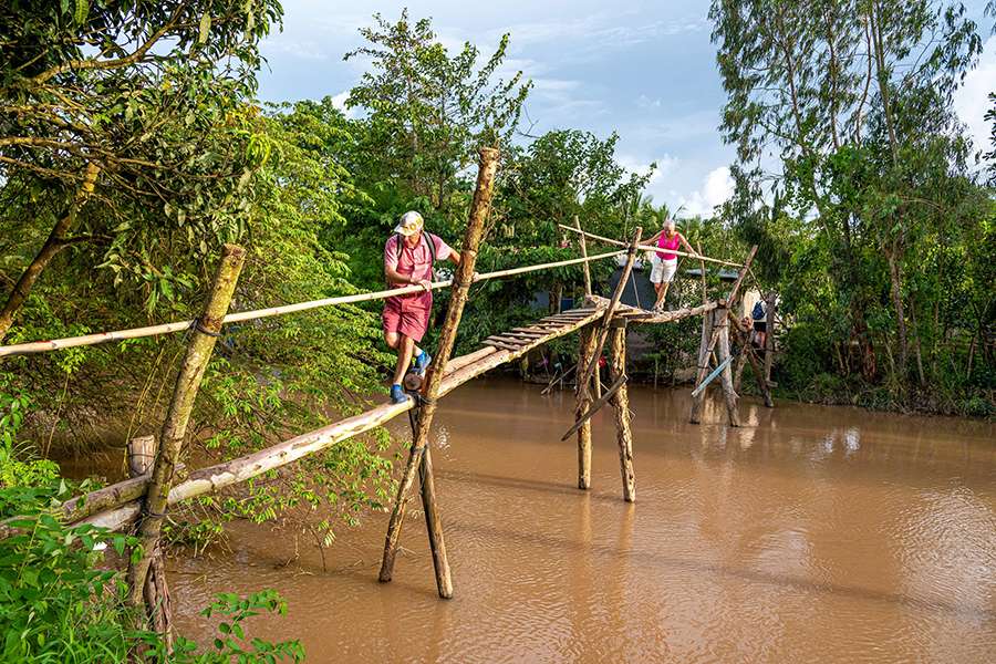 Monkey Bridge in Mekong Delta - Vietnam tours