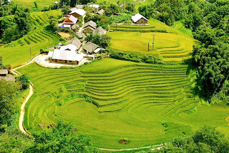 Muong Hoa Valley - Vietnam tour package