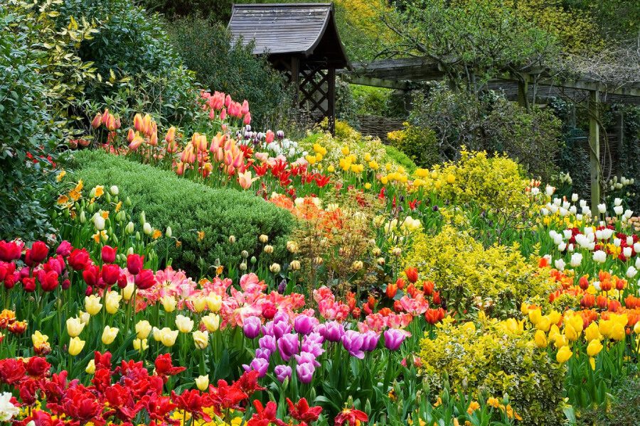 Dalat Flower Garden - Vietnam tour package