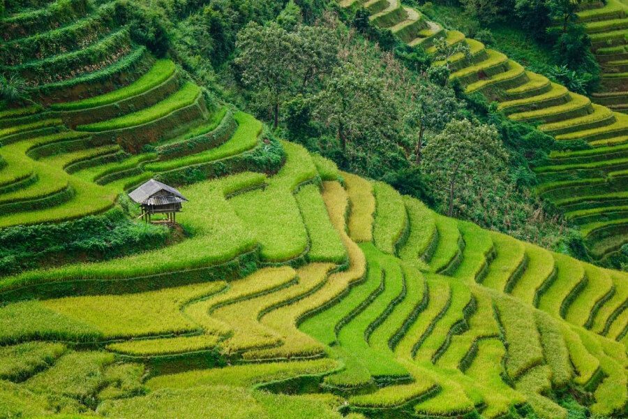 Taphin village - Vietnam Classic Tours