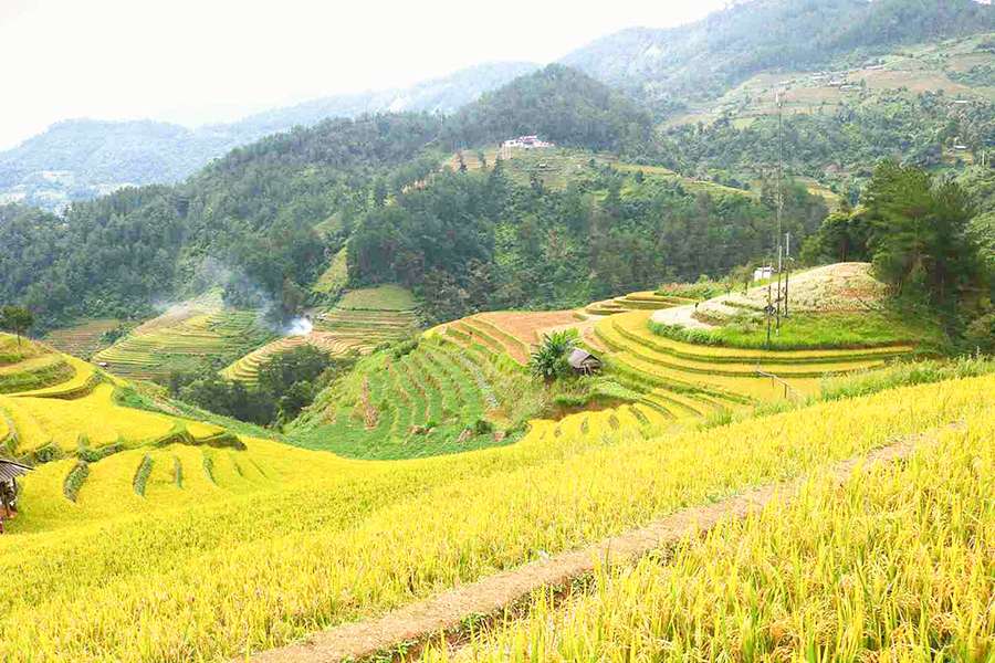 Mu Cang Chai - Vietnam adventure tours