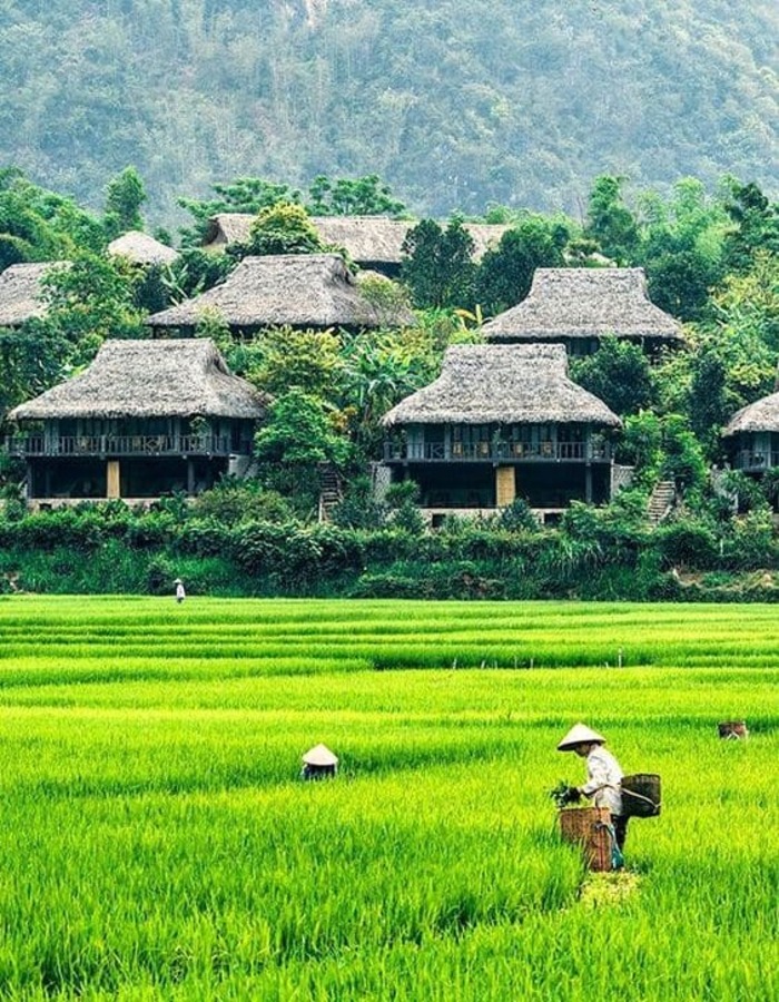 vietnam tours to mai chau