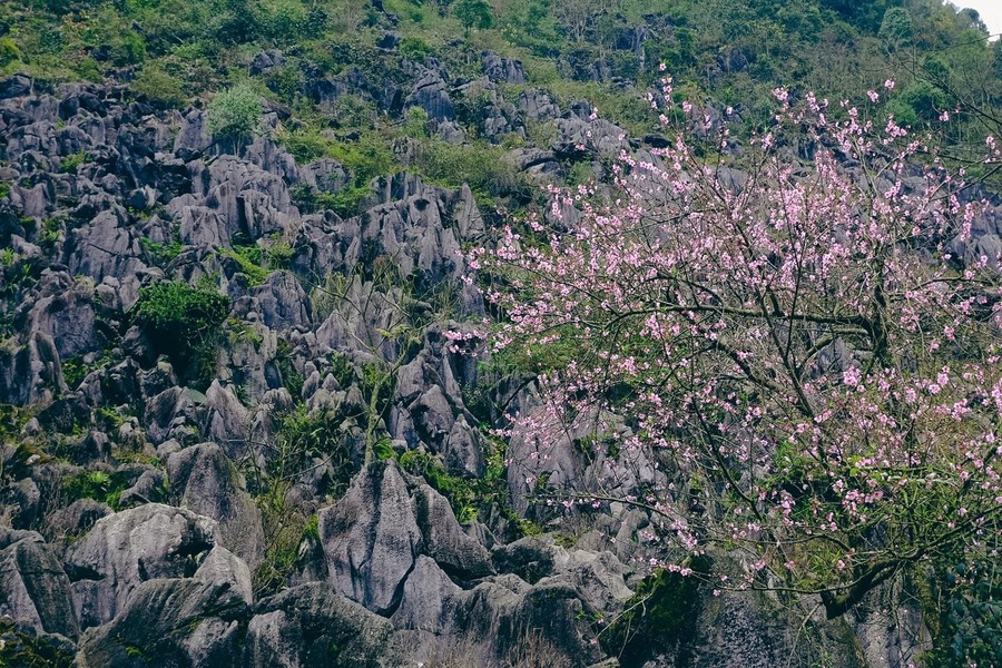 ha noi to ha giang trip