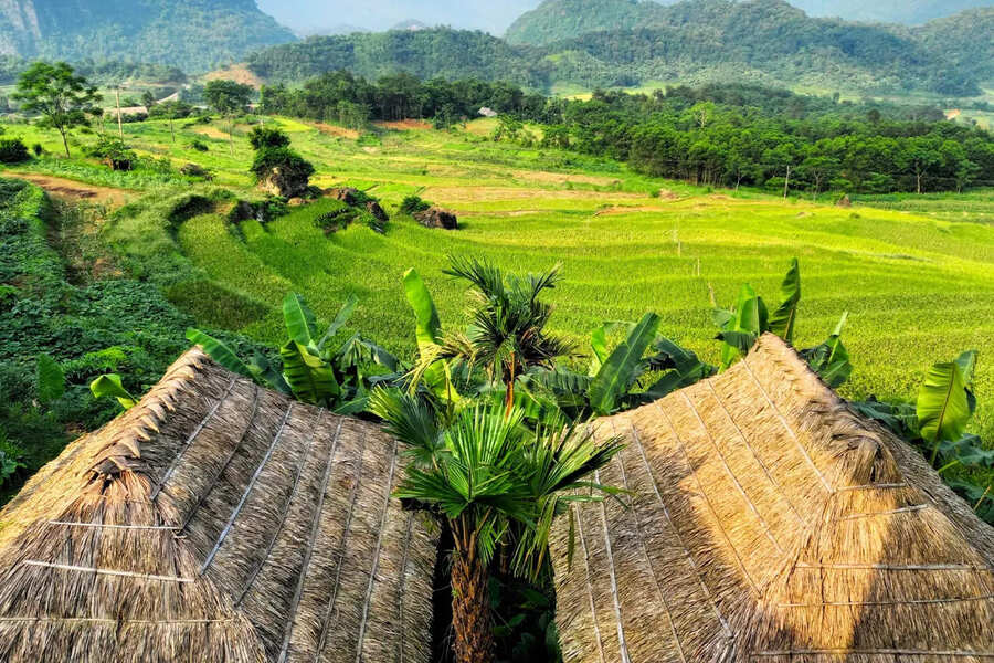 explore Pu Luong Nature Reserve