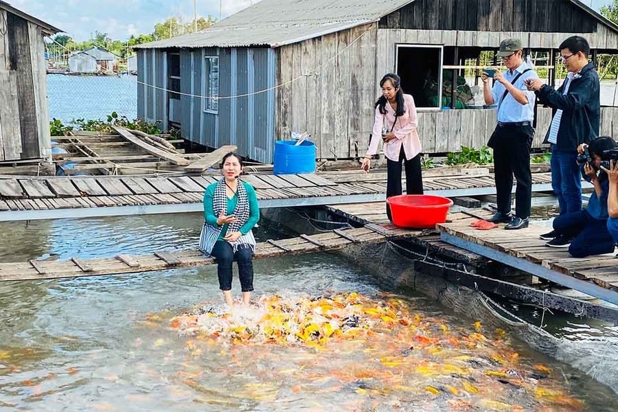 2 week Vietnam tour to Con son islet 2 week Vietnam tour to Con son islet