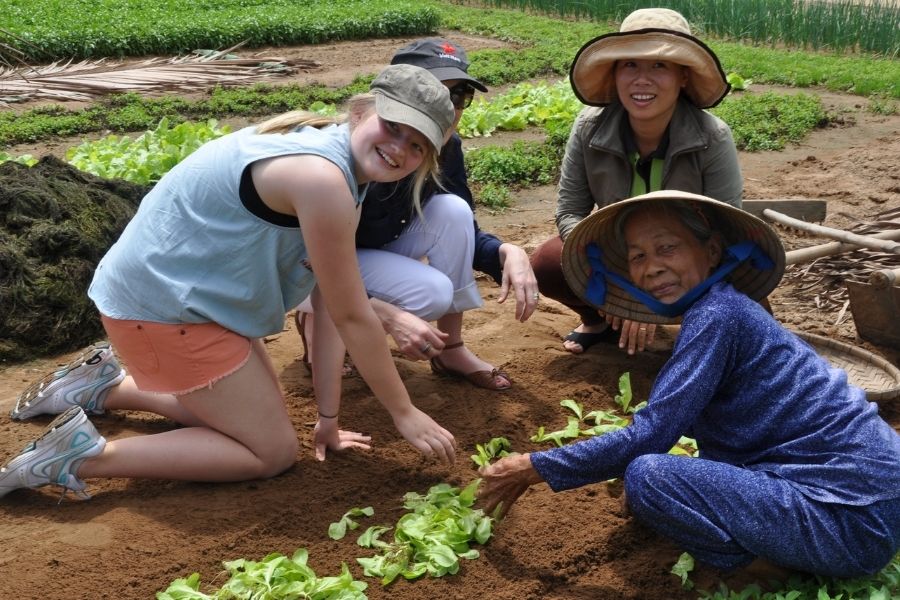 Best Experiences to Do on Vietnam Shore Excursions