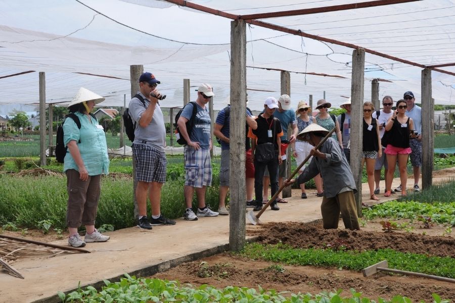 Responsible Experiences in Vietnam